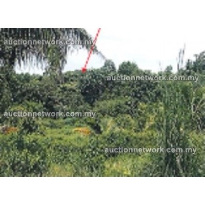 Kampung Batu 6, 17500 Tanah Merah, Kelantan Kampung Batu 6, 17500 Tanah Merah, Kelantan