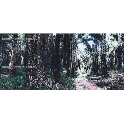 RPB Padang Grus, Bersebelahan Taman Rekreasi Nur Lembah, 33400 Lenggong, Perak RPB Padang Grus, Bersebelahan Taman Rekreasi Nur Lembah, 33400 Lenggong, Perak