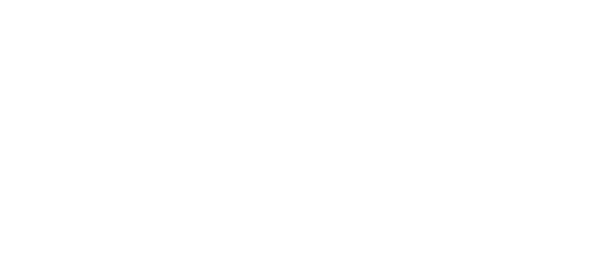 Auction Network — Where Value Meets Opportunity